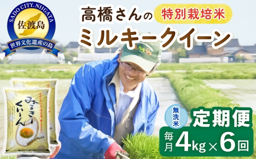 【定期便 令和8年産新米 6か月】 佐渡島産ミルキークイーン 無洗米 4Kg(2kg×2袋） 令和8年産新米 特別栽培米 高橋農園 | 新潟県産ミルキークイーン 佐渡産ミルキークイーン ミルキークイーン お米 米 無洗米 むせんまい 精米 おこめ コメ 4キロ にいがた さど 新潟県 佐渡市