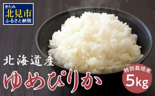 北海道 ゆめぴりか 特別栽培米 5kg ( 米 白米 ブランド米 ユメピリカ 高品質 5キロ )【061-0004】