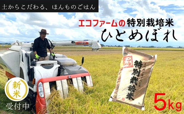 
                  エコファームの特別栽培米ひとめぼれ5kg（令和8年産新米予約）
                