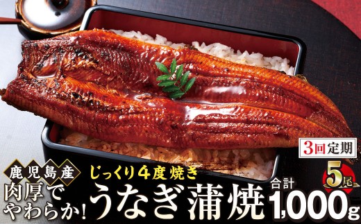 【3回定期】うなぎ 蒲焼 200g×5尾【鹿児島産】地下水で育てた絶品鰻