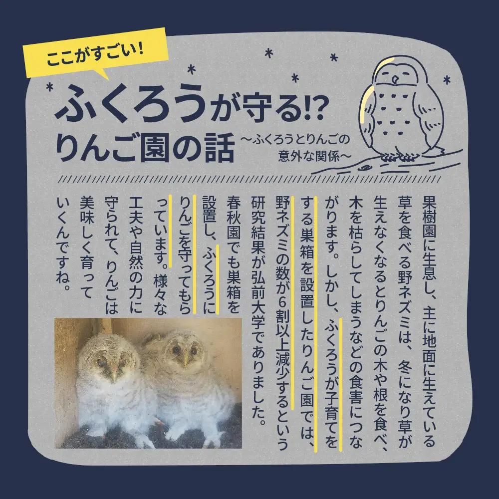 訳ありりんごとりんごジュースの定期便4回【2026年9月発送開始】 りんご りんごジュース 定期便