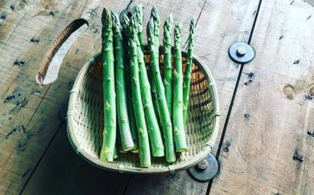 ＜2024年7月上旬よりお届け＞北海道壮瞥町産　大作農園「夏アスパラとカラフルミニトマト」のセット約1kg 先行予約【 ふるさと納税 人気 おすすめ ランキング アスパラ あすぱら トマト とまと ミ