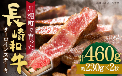 サーロインステーキ 長崎和牛 計460g（2枚）サーロイン 【川下精肉店】[OAA012] / 長崎県 川棚町 サーロインステーキ 国産 ステーキ肉 すてーき肉 牛 牛肉 国産 ブランド 和牛 焼肉 焼き肉 BBQ バーベキュー 牛肉 ステーキ すてーき サーロイン さーろいん