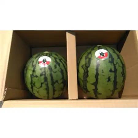 小玉すいか　2玉入り　1玉1.5kg以上【1145978】