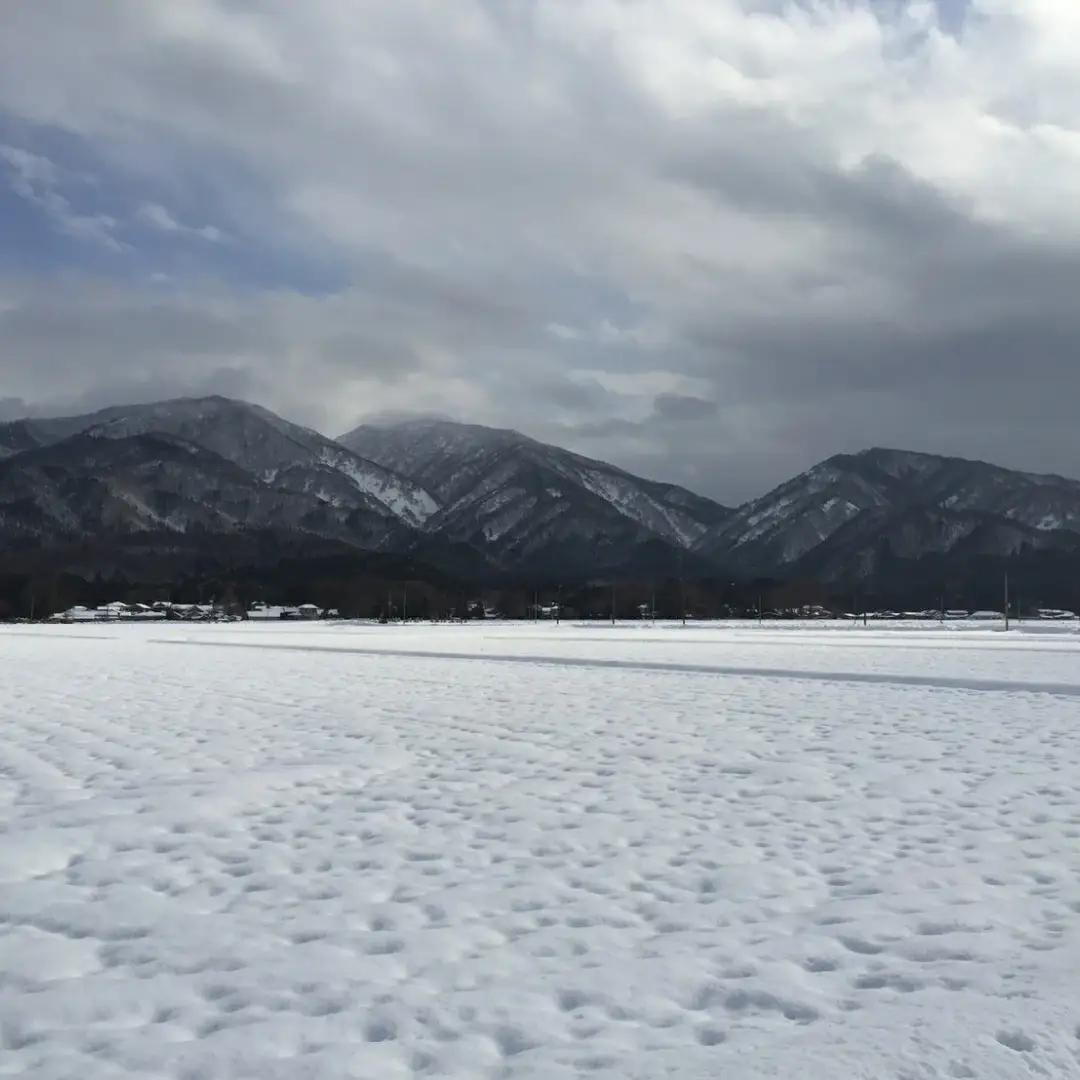 【令和7年産】新潟県産コシヒカリ 5kg 農園小嶋屋 | 白米 精米 米 五泉市 こしひかり