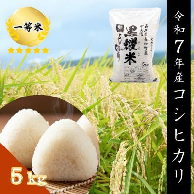ふるさと納税 長和町 令和7年産 コシヒカリ5キロ(kg)　軟水「黒耀水」育ち 長野県長和町産 農家直送 一等米精白米