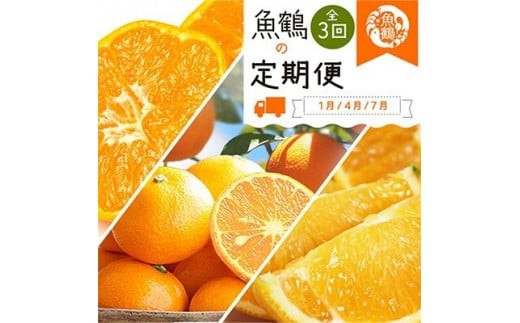 
            【全3回】紀州和歌山産旬の柑橘定期便 (みかん・なつみ・バレンシア) 【tkb378】
          