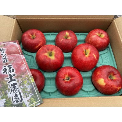 
＜訳あり＞りんご「葉とらずサンジョナ」約3kg(8～12玉) 家庭用【1491235】
