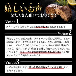 神戸牛 ハンバーグ 100g×10個  神戸ビーフ 国産 普段使い 肉 牛肉 セット 冷凍 小分け 帝神志方