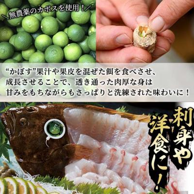 ふるさと納税 佐伯市  かぼすヒラメ (1尾・約1kg前後) |  | 01