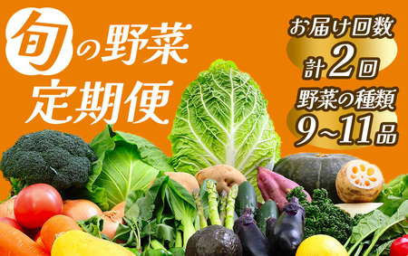 旬の野菜セット 2ヶ月の定期便　【 朝どれ 野菜 やさい 新鮮 】