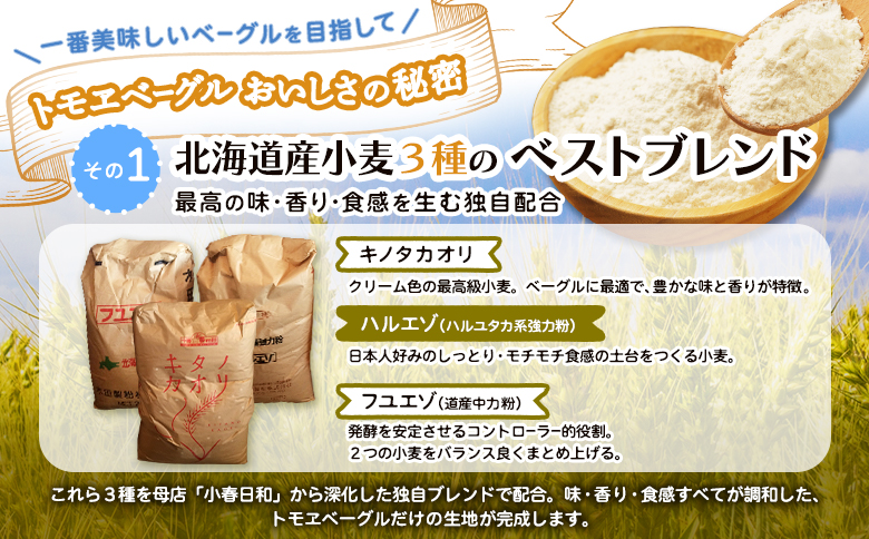 トモヱベーグル「クリームチーズブルーベリー」10個セット【330031】_イメージ3