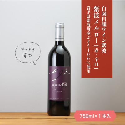ふるさと納税 紫波町 【自園自醸ワイン紫波】紫波メルロー 750ml×1本