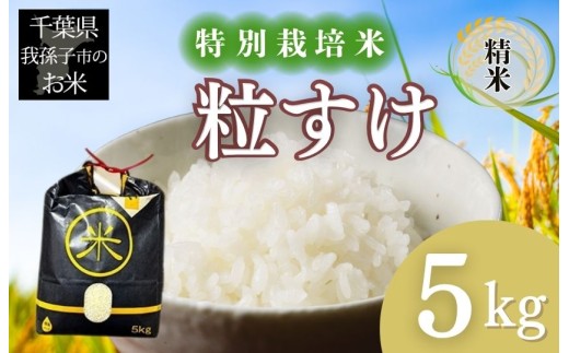 千葉県　我孫子市産　特別栽培米　精米　粒すけ　５ｋｇ