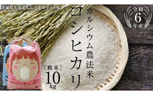 【令和6年産】カルシウム農法米 コシヒカリ 精米 10kg ( 5kg×2袋 ) (茨城県共通返礼品 かすみがうら市) 米 ごはん 粘り ツヤ コメ お米 白米 [EX006sa]