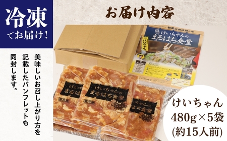 鶏ちゃん発祥の名店「まるはち食堂」こだわり抜かれた下呂の味！！けいちゃん 480g×5（約15人前）冷凍  味付き 焼くだけ【48-2】