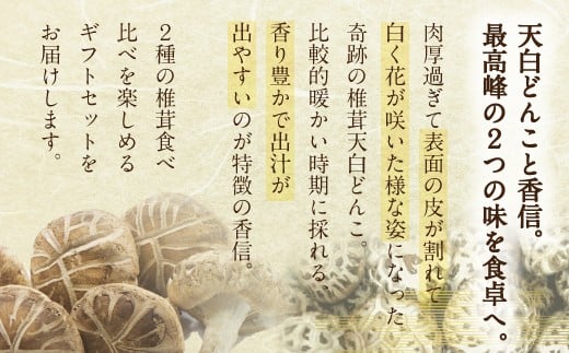 宮崎県産 乾椎茸 食べ比べ セット 天白 どんこ 80g 香信 40g 2種 合計120g 肉厚 [岡田商店 宮崎県 美郷町 31ac0044] 干し椎茸 乾燥椎茸 干ししいたけ 国内産 九州産 宮崎県産 ギフト プレゼント 父の日 母の日 贈り物 贈答用 化粧箱 専用箱 詰め合わせ 送料無料 煮付け ステーキ 煮物 出汁