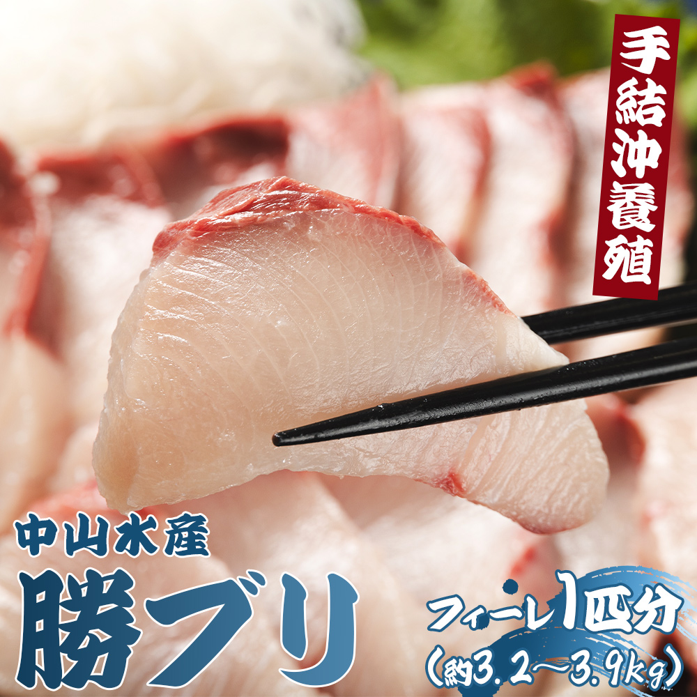 「勝ブリ」のフィーレ約3.2kg～3.9kg 手結沖養殖 - 期間限定 魚 ぶり 鰤 寒ブリ 海鮮 鮮魚 魚介類 切り身 海の幸 ギフト お刺身 煮物 焼き魚 おかず 産地直送 のし対応可 送料無料 