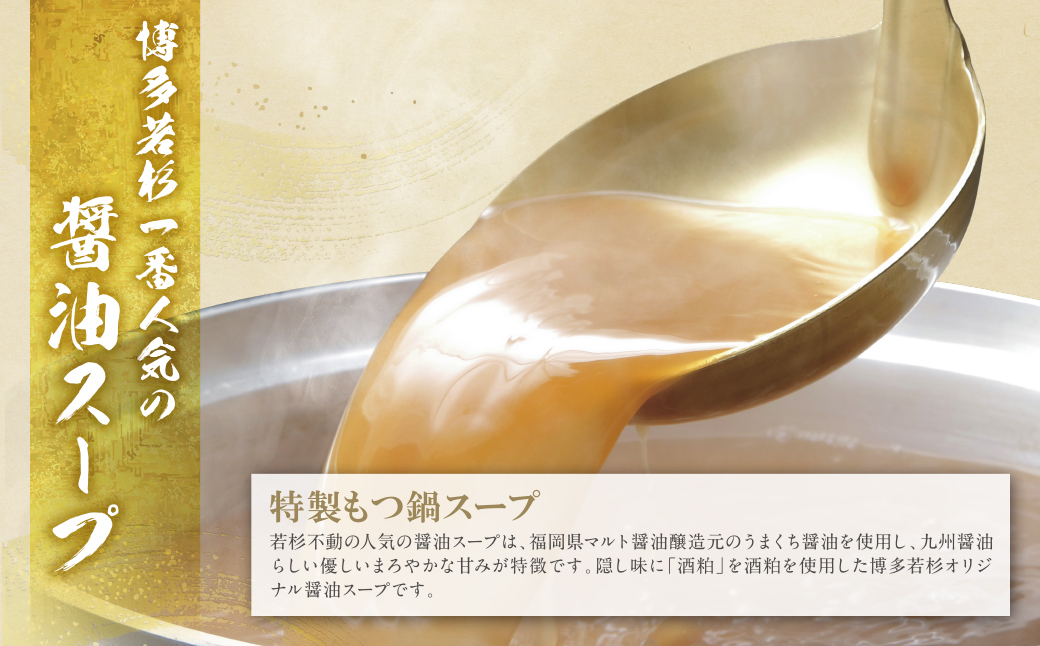 【7営業日以内発送】博多若杉 【訳あり】牛もつ鍋(2人前×5セット) 10人前 国産牛ホルモン ホルモン鍋 大容量 ホルモン計1kg 牛もつ 博多 ランキング 本場 国産牛 小分け 冷凍 送料無料 福