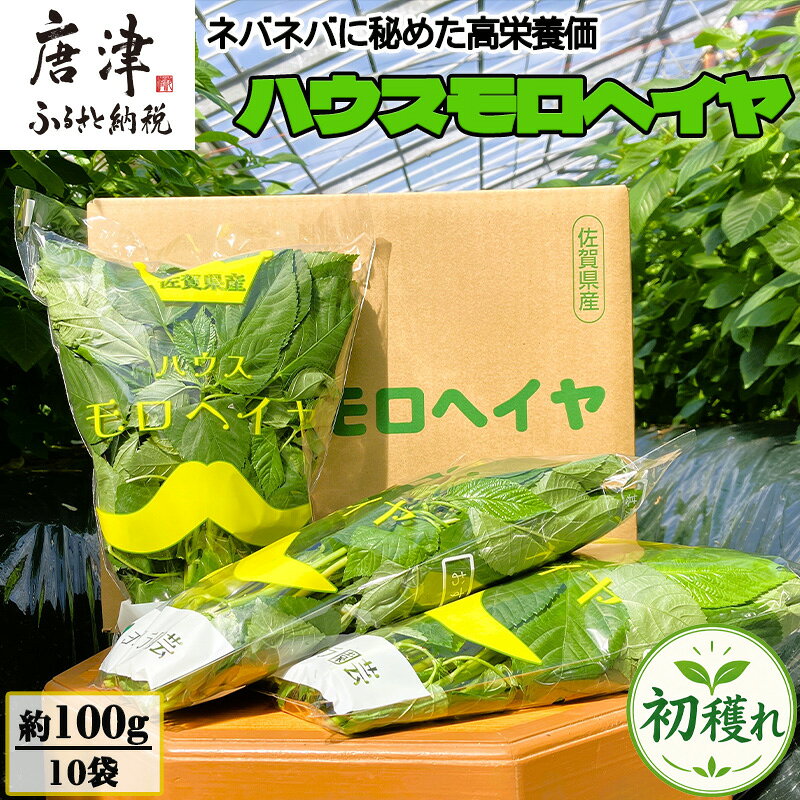 【ふるさと納税】初穫れハウスモロヘイヤ 100g×10袋 ネバネバ 高栄養価（βカロテン/各種ビタミン/カルシウム/カリウム/葉酸など) 定番おひたし 和洋中の各種スープ 色んなお料理のソースにも 野菜 ねばねば