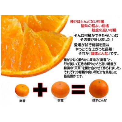 柑橘界のスイーツ!?愛媛県八幡浜産媛まどんな5kg【訳あり】【E35-10】【配送不可地域：離島・北海道・沖縄県】【1492233】