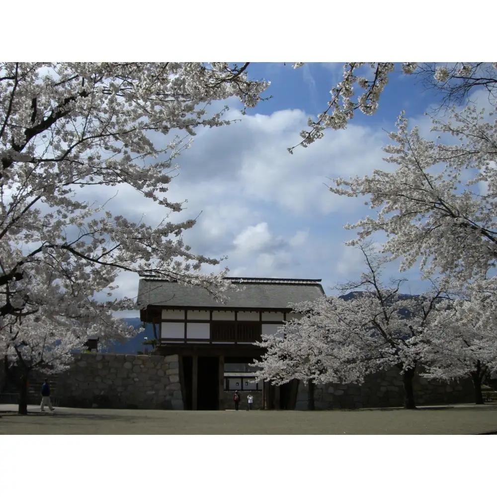 【松代城 壱口城主証】 | 城主証 歴史 文化遺産 寄付