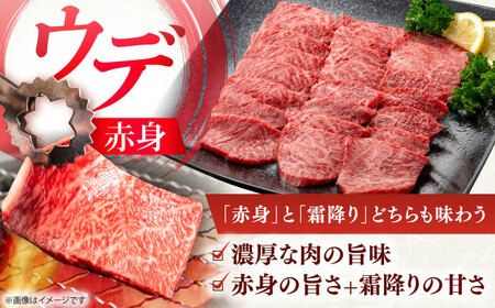 佐賀牛 ウデ焼肉用 約400g 【JAさが 杵島支所】[HAM096]