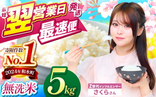 【 最短 翌営業日 ～ 7営業日で発送 】 熊本県産 ほたるの灯り 無洗米 選べる 5kg | 令和7年産 小分け 5kg 単位 10kg 20kg 30kg 熊本県 熊本 くまもと 和水町 なごみ 訳あり 規格外 不揃い 単一米 単一原料米 ブレンド 複数原料米 熊本県産 こめ 米 ごはん 銘柄米 日本遺産 菊池川 返礼品 SDGs  無洗米 お米マイスター 独自ブレンド