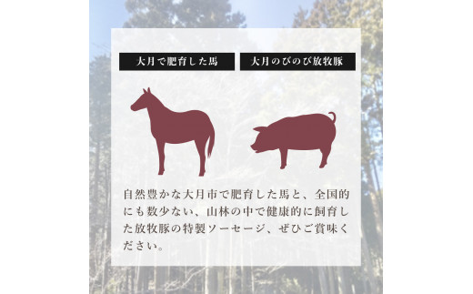 大月市で肥育した馬と放牧豚で作ったソフトサラミソーセージ【馬肉80%：豚肉20%】　70gシート　4枚