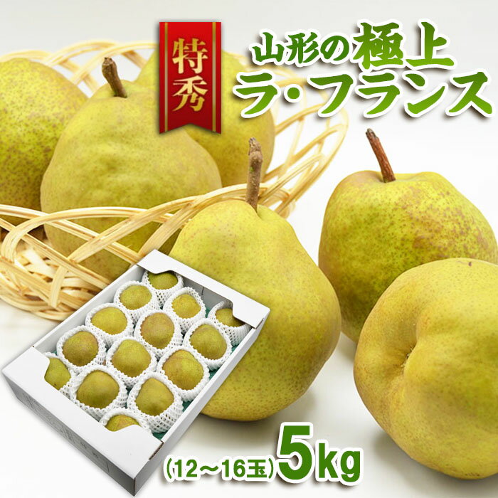 【ふるさと納税】【特秀】山形の極上 ラフランス 特秀品 約5kg(12〜16玉) fz23-319 洋梨 ラ・フランス 果物 くだもの フルーツ お取り寄せ 送料無料 洋なし