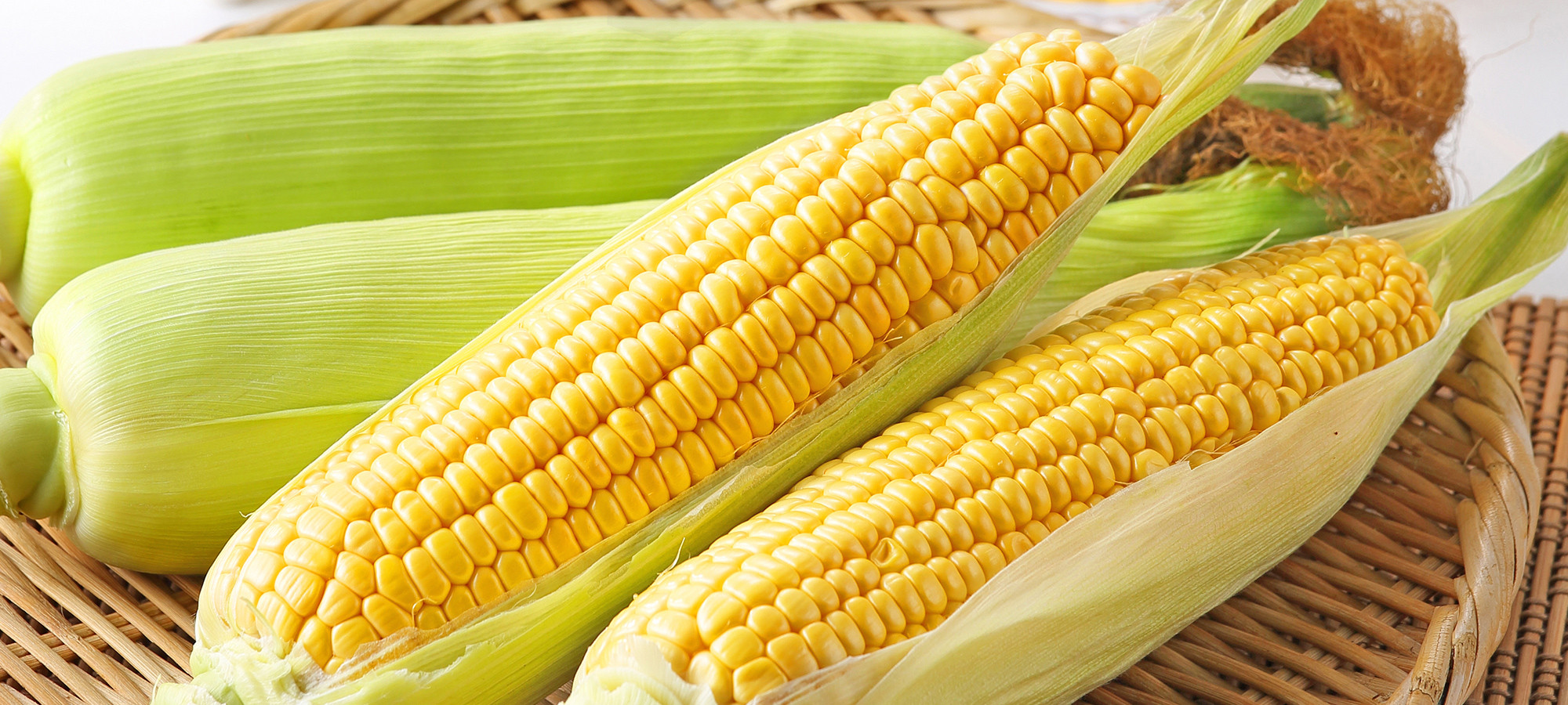 
                  予約受付 7月中旬～発送開始【2026年産】北上産 とうもろこし（キミ）5本  八百屋 季節 野菜 くだもの トウモロコシ 旬 岩手県 北上市 B0254
                