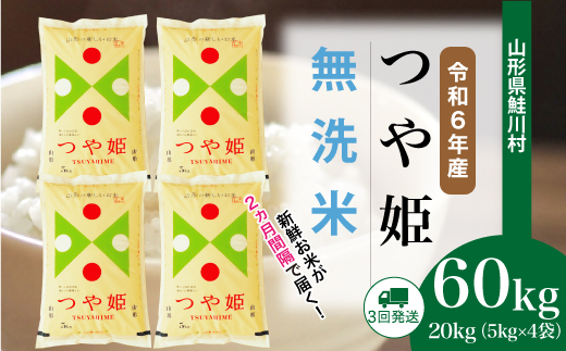 ＜令和6年産米＞ 令和6年12月上旬より配送開始 特別栽培米 つや姫【無洗米】60kg定期便(20kg×3回)　鮭川村