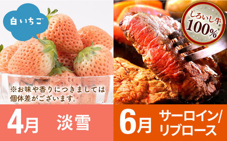 【R8年2月以降発送】【6回定期便】いちごと牛肉の贅沢定期便 / いちご 牛肉  [IZZ009]