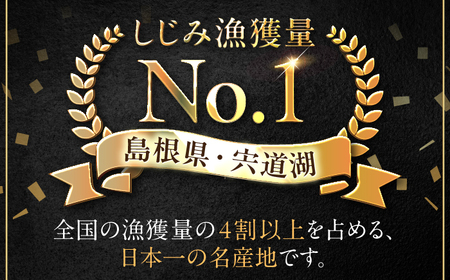 宍道湖産冷凍大和しじみ (Ｌ)500g×3袋 島根県松江市/平野缶詰有限会社[ALBZ008] しじみ シジミ 宍道湖 しじみ シジミ 宍道湖 期間限定 1万 10000円 お試し 期間限定 1万 1