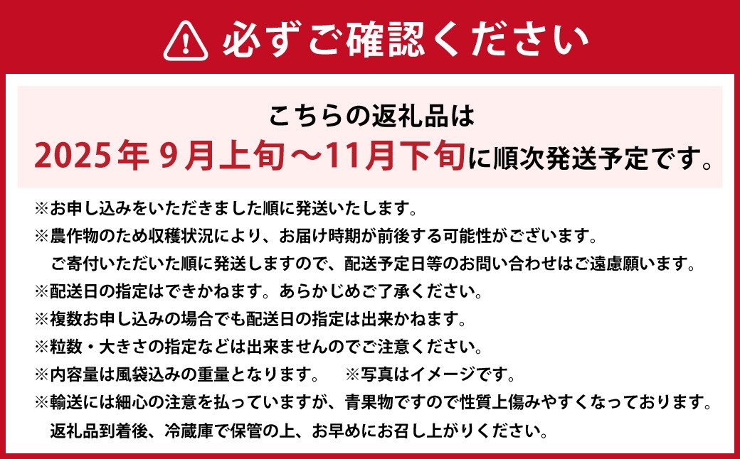 【2025年9月上旬〜11月下旬発送予定】【岡山県産】シャインマスカット約2.0kg  （3～4房）