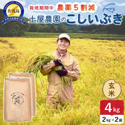 ふるさと納税 佐渡市 【新米予約】令和8年産 佐渡島産こしいぶき 玄米4kg 土屋農園 農家直送 栽培期間中農薬5割減