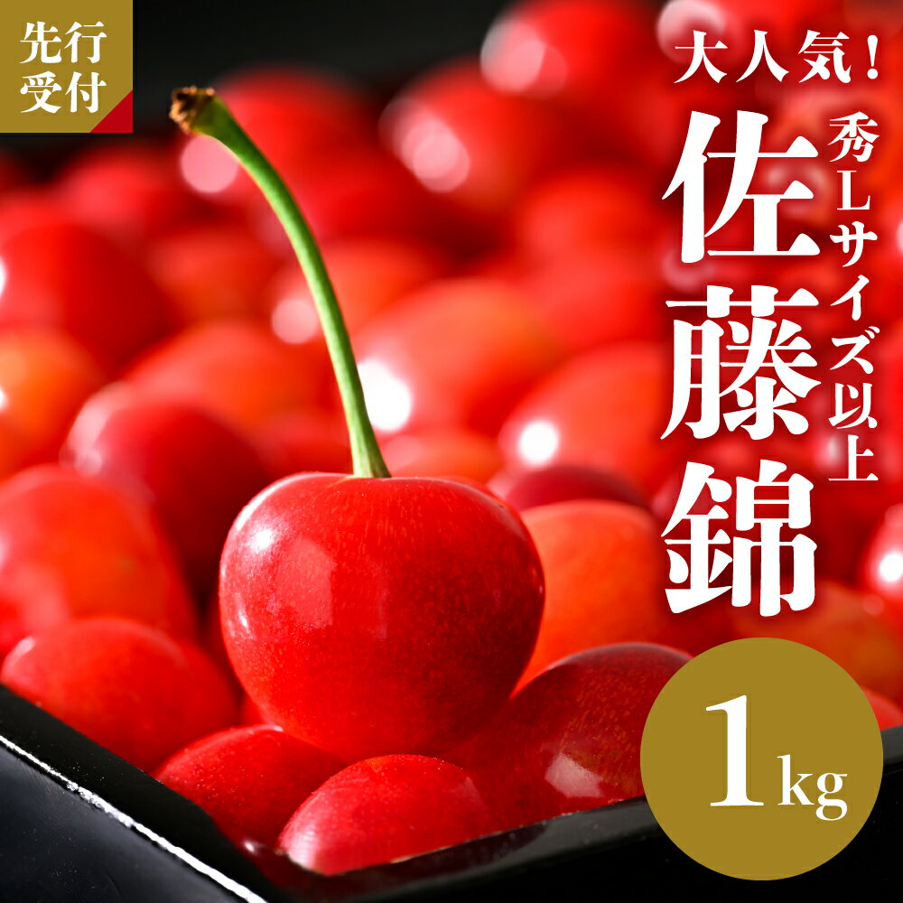【ふるさと納税】 【令和8年産】さくらんぼ「佐藤錦」秀L以上1kgバラ詰 （500g×2パック）| フルーツ 果物 オススメ 人気 バラ 産地直送 送料無料 お取り寄せ 贈答 ギフト プレゼント 初夏 旬 数量限定 先行予約 山形県 河北町