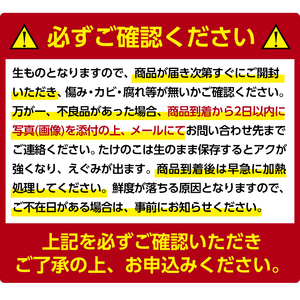 s089 《先行予約受付中！2025年3月下旬より順次発送予定》鹿児島県産たけのこ(4kg・約4～10本) 産地直送 筍 タケノコ 国産 煮物 炊き込みご飯 【弐番屋】