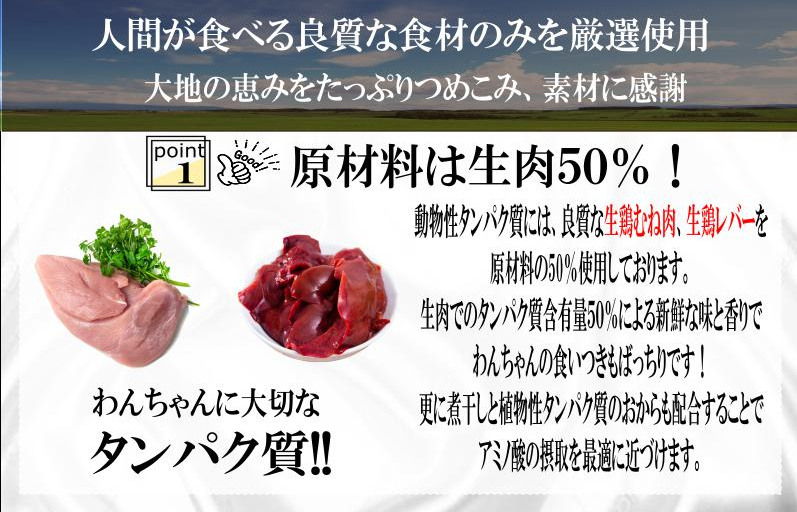 【定期便】国産 無添加 ドッグフード「いのちのごはん」500g×全3回【毎月配送コース】 099Z168_イメージ2