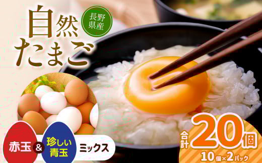 しばた養鶏のたまご 10玉×2パック | 卵 たまご しばた養鶏 生卵 長野県 塩尻市