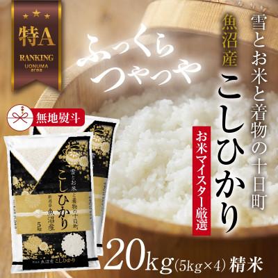 ふるさと納税 十日町市 【のし付き】 魚沼産 コシヒカリ 20kg  美味しい炊き方ガイド付き