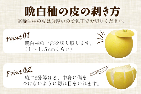 森田果樹園の晩白柚 1玉 森田果樹園《11月下旬-2月末頃出荷予定》果物 フルーツ サボン 熊本