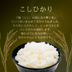 令和7年産　特別栽培米コシヒカリ　10kg(5kg×2袋)【1695258】