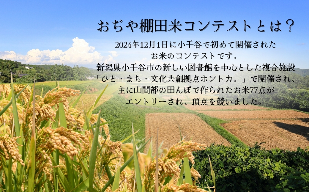 令和7年産 魚沼産コシヒカリ 棚田米 精米60kg(5kg×2袋×6回)定期便毎月発送【0002-RC09DB00-01】