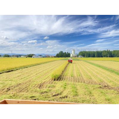 ふるさと納税 新庄市 【毎月定期便】至福のはえぬき(精米)3kg全3回 |  | 02