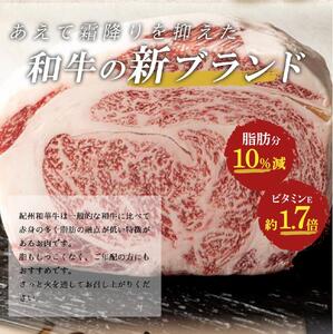 EN6013_黒毛和牛 紀州和華牛 特撰ロース ステーキ 500g (250g×2)