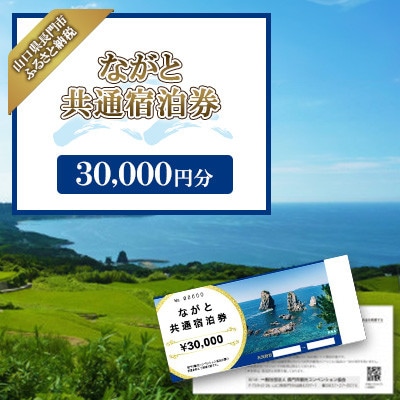 【山口県長門市】ながと共通宿泊券 30,000円分【1717534】
