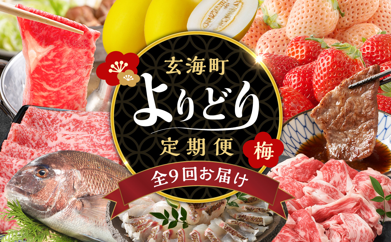 【計9回お届け】玄海町よりどり定期便（梅）