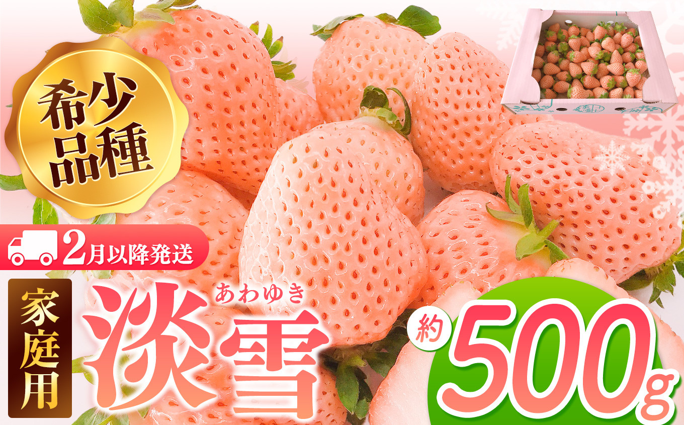 
                  【2月以降発送】ご家庭用淡雪 約500g ｜ フルーツ 果物 いちご 淡雪 訳あり 熊本 玉名
                