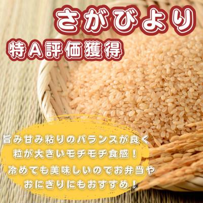 ふるさと納税 基山町 【毎月定期便】【玄米】さがびより10kg(5kg×2袋)(基山町)全6回 |  | 01